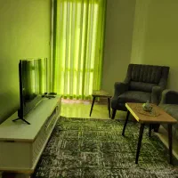 اجاره-سوئیت-آپارتمان-ولیعصر-ونک-انقلاب