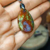 پلاک شجر|بدلیجات|لاهیجان, شیخ زاهد|دیوار