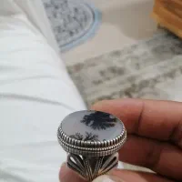 انگشترشجر رکاب شهریار