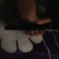 شیامی ردمی 13