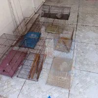 قفس معاوضه با پرنده