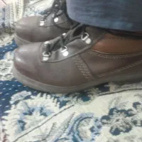 کفش|کیف، کفش، کمربند|تربت‌حیدریه, رضاشهر|دیوار