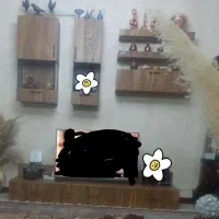 میز تلوزیون|میز تلویزیون|شیراز, ارم|دیوار