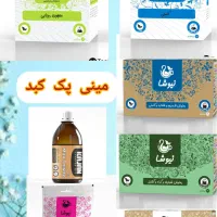 مینی پک کبد