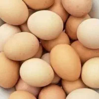تحم مرغ