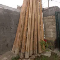 خرید چوب خشک سقفی وانواع چوب درباغات|خدمات پیشه و مهارت|ارومیه, |دیوار