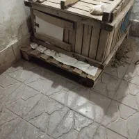 مرغ