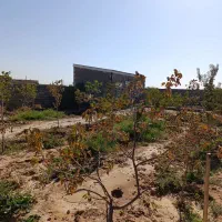 باغ فروشی انتهای کشمیری37|فروش زمین و ملک کلنگی|مشهد, شهید علی محمدی|دیوار