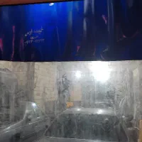 پرده مغازه ریلی،طلق،ترانزیتی،آهنربایی،آلاچیق|کوهنوردی و کمپینگ|تبریز, |دیوار