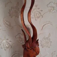 مجسمه دلفین و اسب چوبی|مجسمه، تندیس، ماکت|فردیس, فردیس|دیوار