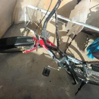 سلام دوچرخه ۲۰ سالم|دوچرخه، اسکیت، اسکوتر|صحنه, |دیوار