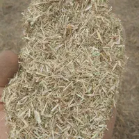 کاه کوبیده گندم.خارشتر. .کمل شالی.سبوس|لوازم جانبی حیوانات|گنبد کاووس, |دیوار