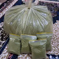 پونه سبز و خوشبو
