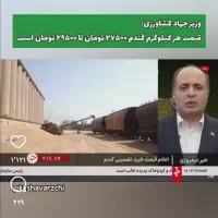 گندم پیشگام ابی|خوردنی و آشامیدنی|ایلخچی, |دیوار