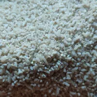 نیم دانه برنج