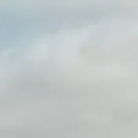 معاوضه سگ سرابی با توله سرابی یا سگ
