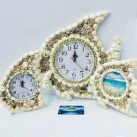 فروش انواع صدف و دکوری های صدفی|صنایع دستی و سایر لوازم تزئینی|قشم, |دیوار