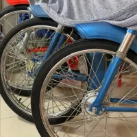 رکس و لوازم رکس