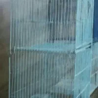 قفس ۱۰تا جفت خون یجایی