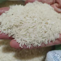 برنج هاشمی عیانی درجه یک گیلان (ارگانیک)