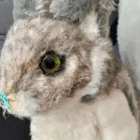 تعدادی عروسک های سالم