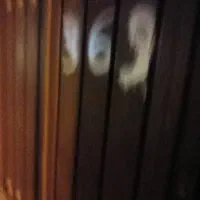 فروش فوری منزل مسکونی در قزوین یا معاوضه در کرج