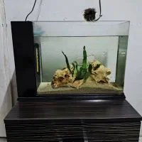 اکواریوم شرکتی با لوازم کامل سامپ بغل