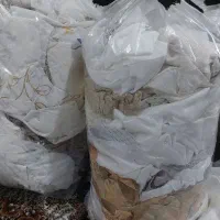 سرقیچی پرده