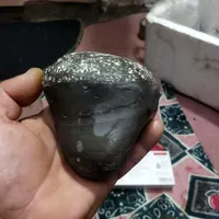 دیوار|حراج|رشت, رودباری|دیوار