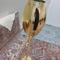 گلدون|گل و گیاه طبیعی|قم, نوبهار|دیوار