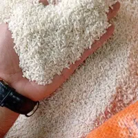 نیم دانه و سرلاشه درجه یک|خوردنی و آشامیدنی|رشت, فلسطین|دیوار