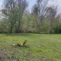 300مترزمین مسکونی دونبش سیاهکل محله|فروش زمین و ملک کلنگی|سیاهکل, |دیوار