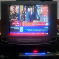 تلویزیون