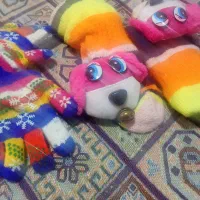 دودست دستکش