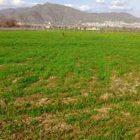 زمین برای خانەباغی