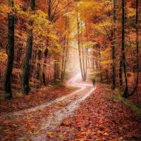 تور ریلی شمال