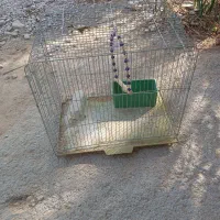 استان بوشهر شهرستان جم شهر ریز