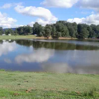 راهنمایی میخواستم