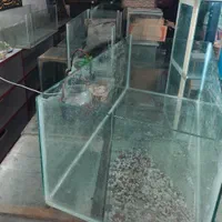 آکواریوم های کوچکتر از ۱ متر یا حدود ۱ متر متنوع|ماهی|قم, سراجه (۱۵ خرداد)|دیوار