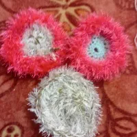 فروش انواع اسکاچ و لیف با تخفیف ویژه