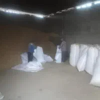 فروش کاه گندم گونی  گرفته