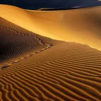 تور فولبرد کویر مصر ،کال جنی،ازمیغان