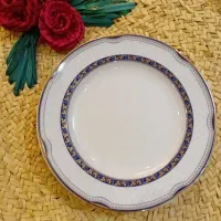 ۶ عدد پلو خوری چینی زرین