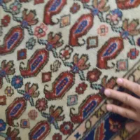 فرش دستباف عتیقه تمیز|فرش|کرج, ساماندهی|دیوار