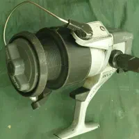 لنسر ماهیگیری|ماهیگیری|گنبد کاووس, |دیوار