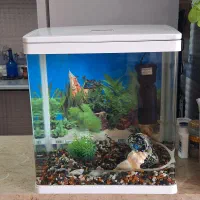 اکواریوم شرکتی K390