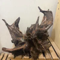 چوب آبنوس