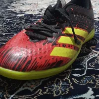 کفش سالن|کیف، کفش، کمربند|گلپایگان, |دیوار