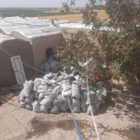 خاک ذغال صنعتی