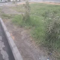 اجاره مغازه ۲۰۰ متری در کوی آزادی